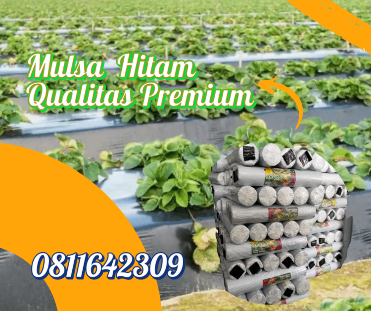 Plastik Mulsa Hitam Pecak Cap Pohon